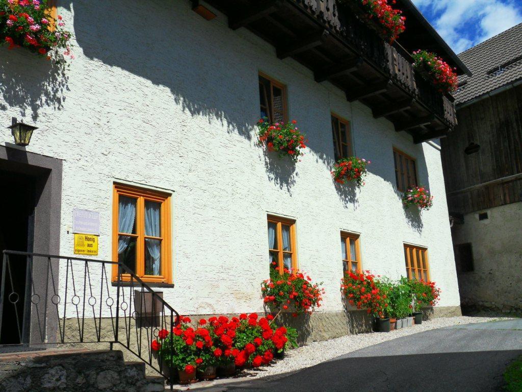 Haus Waldblick Apartment Weissensee Exterior photo